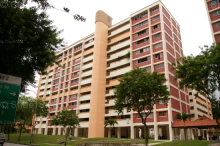 bukit-batok-east-avenue-4 photo thumbnail #7